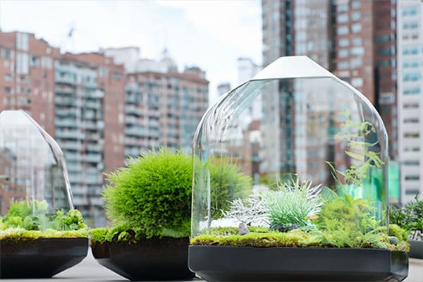 A Breath of Nature in the City